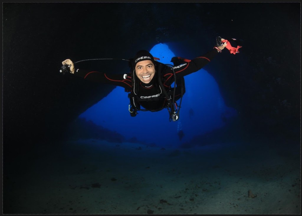 Dolphin Dive Brasil