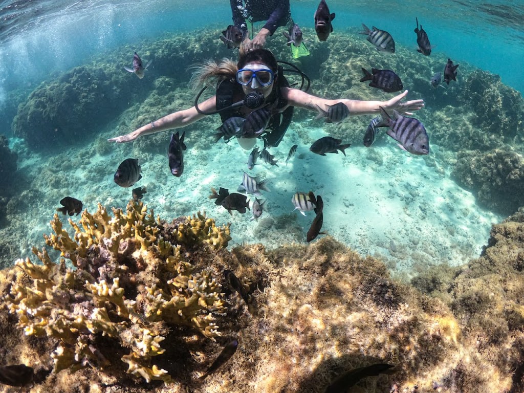 Maragogi Dive Sub