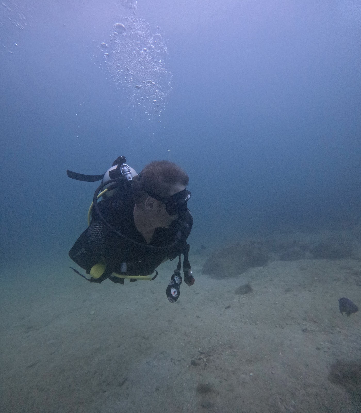 Natura Dive logo