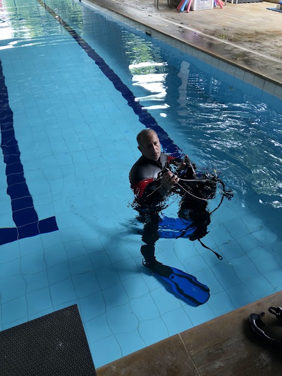 Smart Dive logo