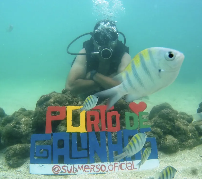 Submerso Scuba Diver Mergulho (Porto De Galinhas)
