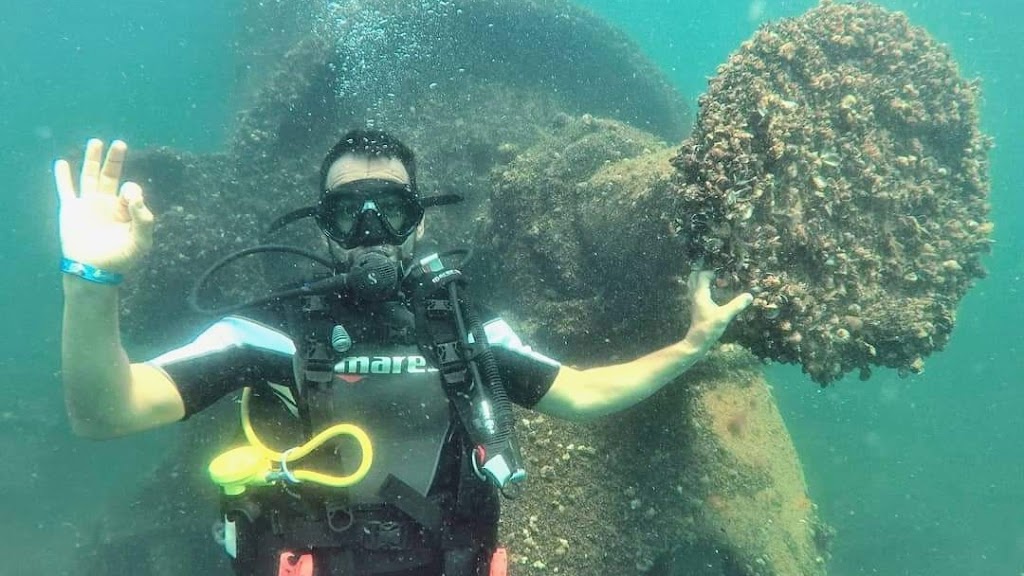 Rock Diving
