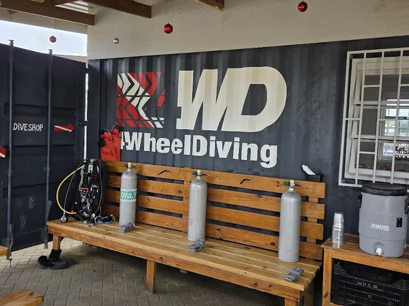 4 Wheel Diving