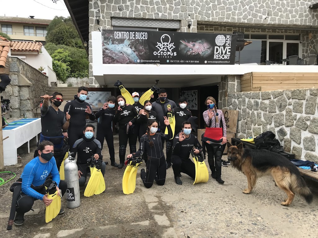 Octopus Divers
