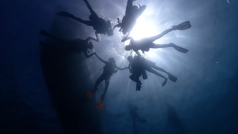 Cartagena Divers Centro De Buceo Padi 5 Estrellas