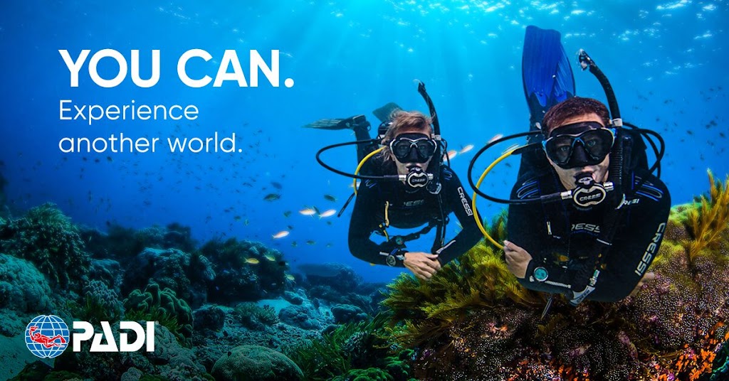 Dive And Tours