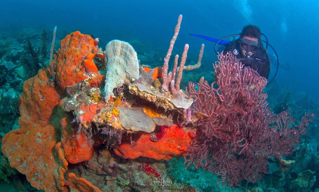 Diving Planet Cartagena