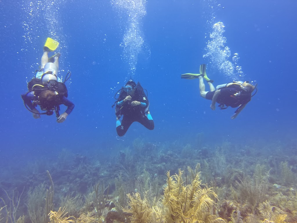 Entre Mares Dive Center