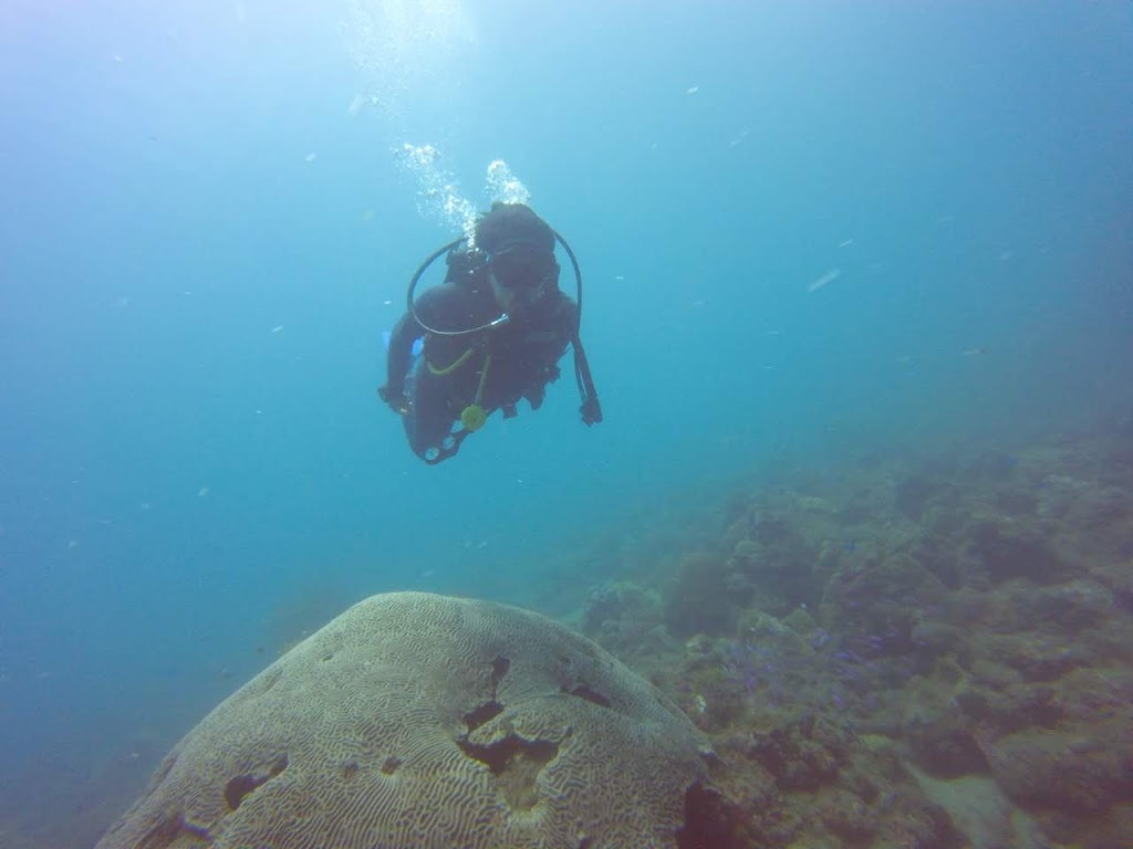 Oceano Scuba Dive Center