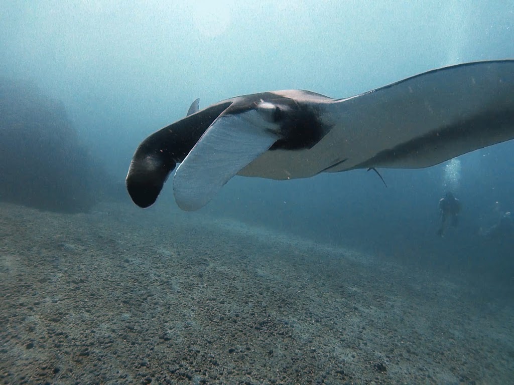 Be Water Diving Center