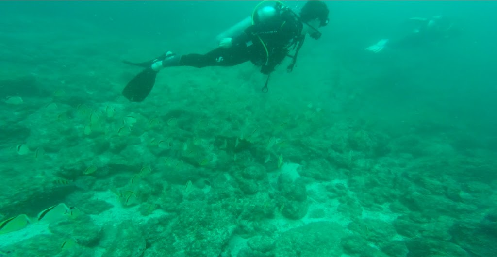 Dive With Jose Costa Rica