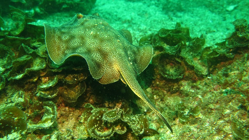 Diving Center Cuajiniquil
