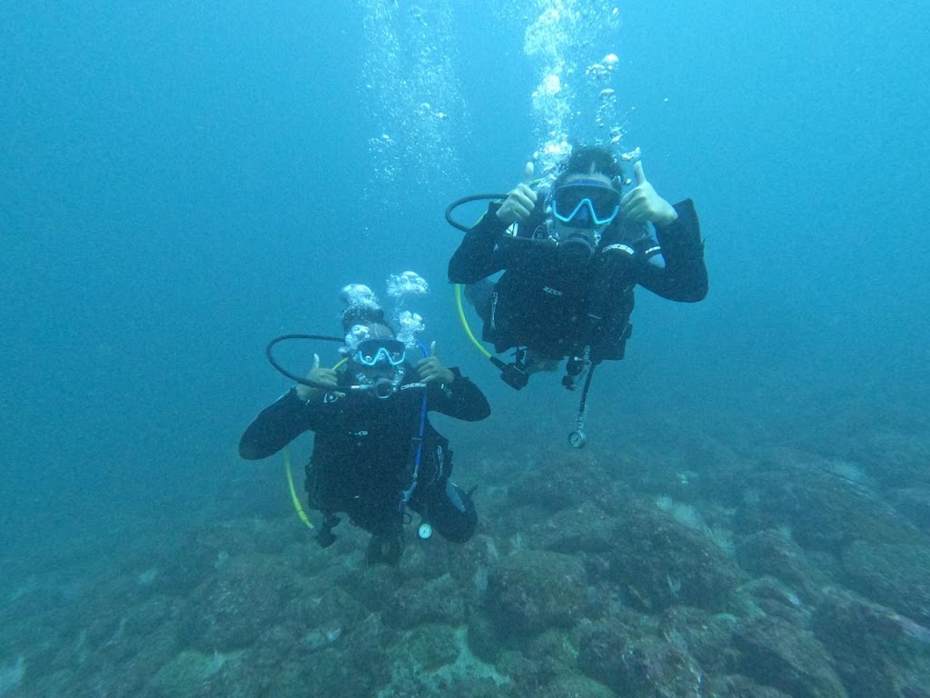 Diving Nomads