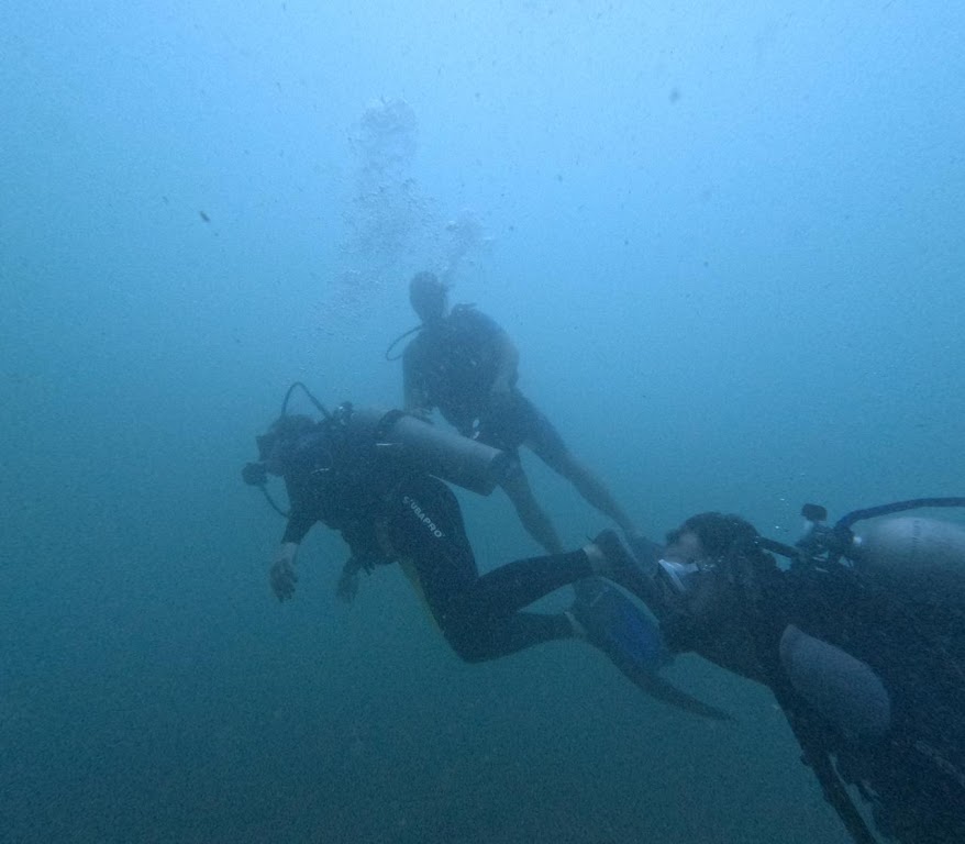 Jaco Guides Dive Shop