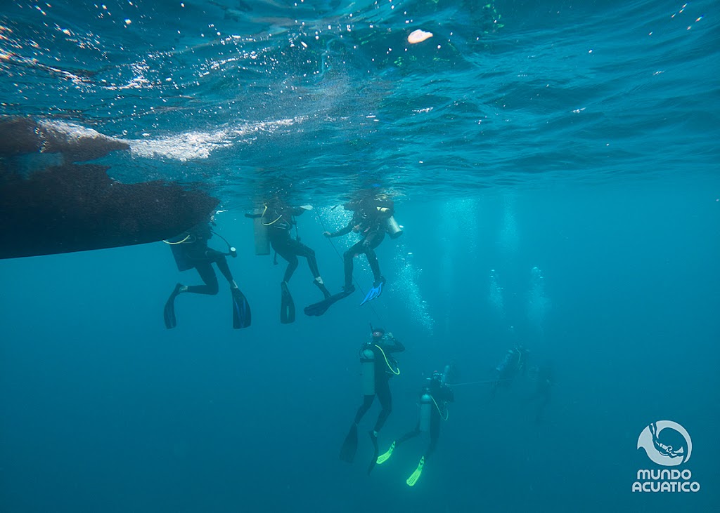 Mundo Acuatico Dive Center