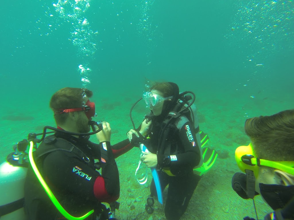 Marine Sport Dive Center