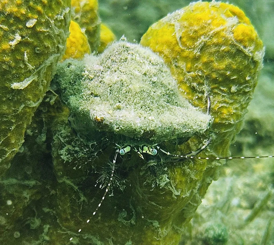 Subaquatic Diving Center
