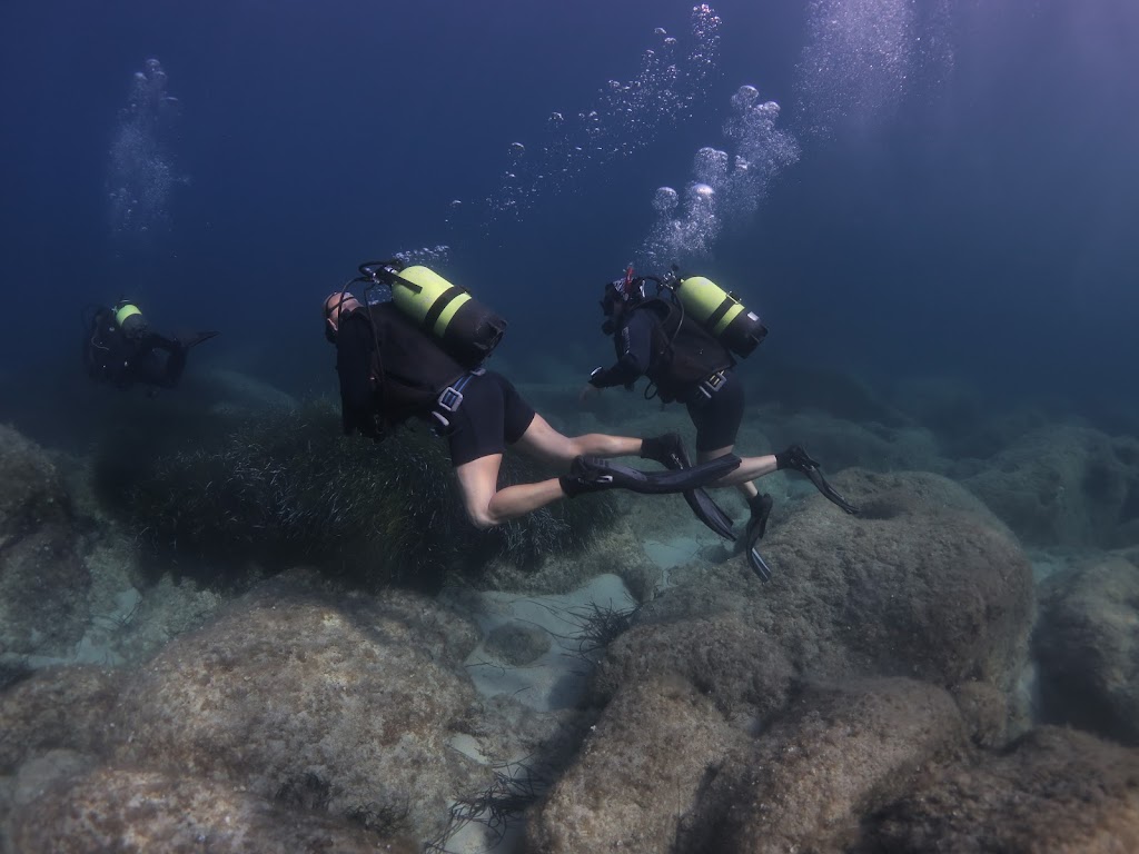 Alpha Divers Ayia Napa