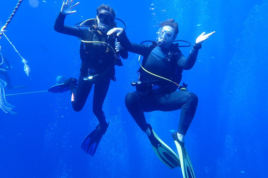 Alpha Divers Scuba Diving Centre