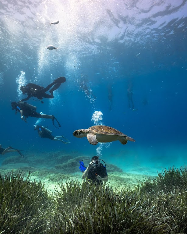 Aquanaut Diving School