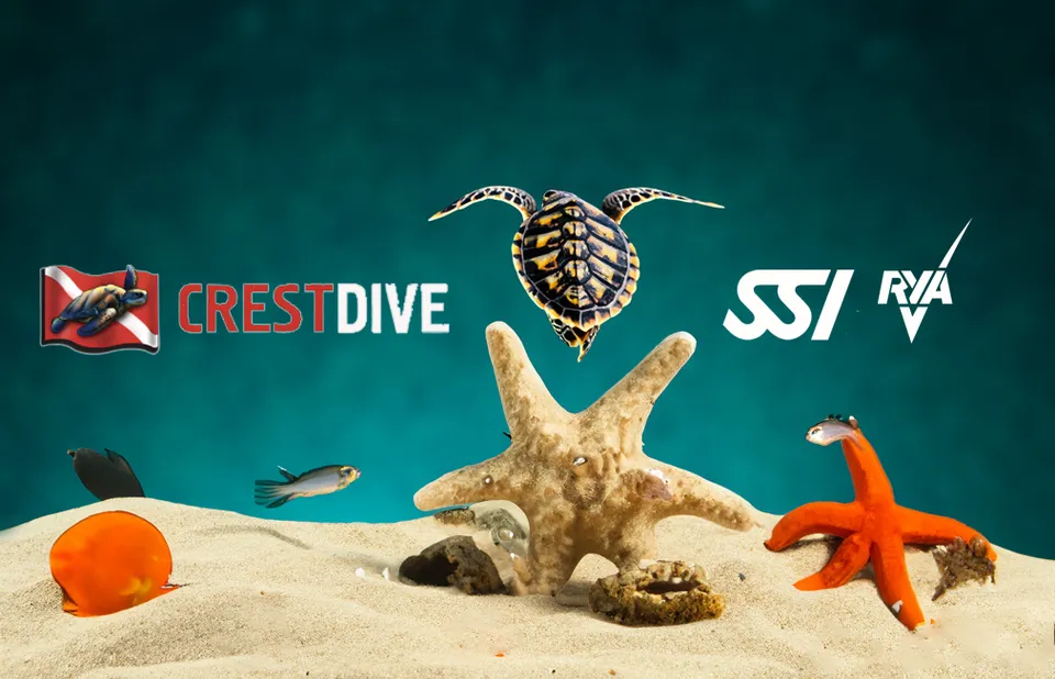 Crest Dive