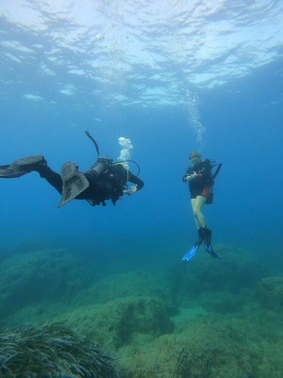 Nereus Dive Center