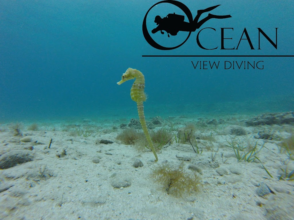 Ocean View Diving, Cyprus , Ayia Napa Scuba Diving