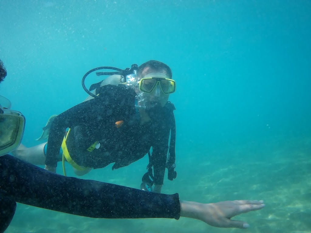 The Pineapple Scuba Diving Club By Alex