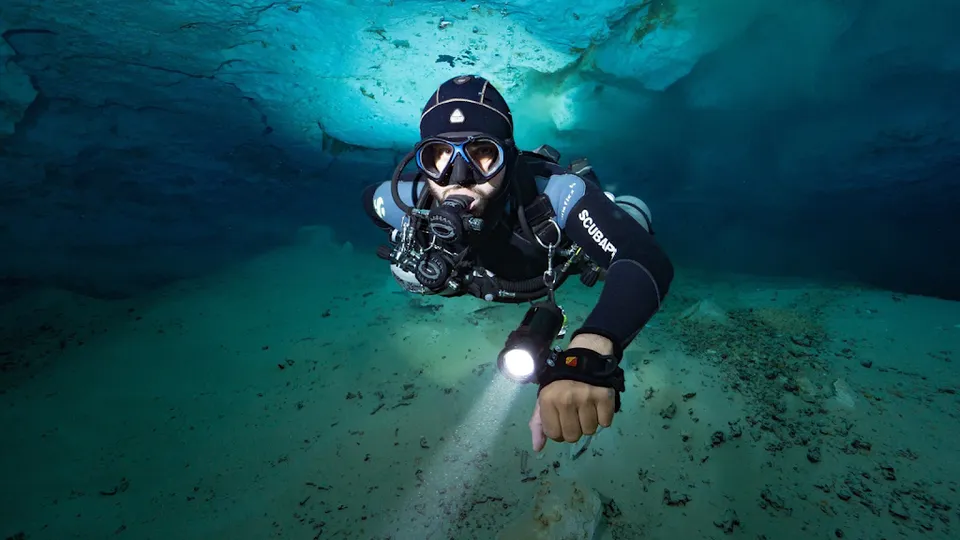 Art Of Diving