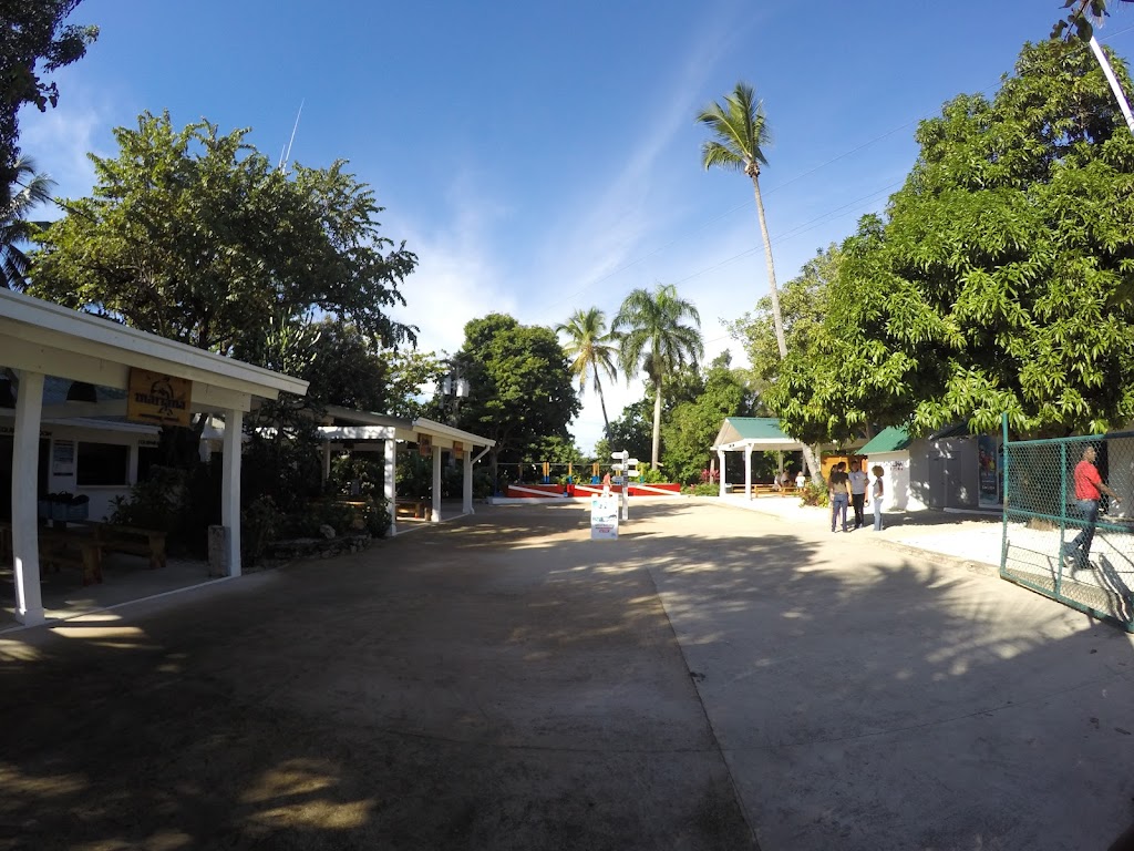 Isla Catalina Diving