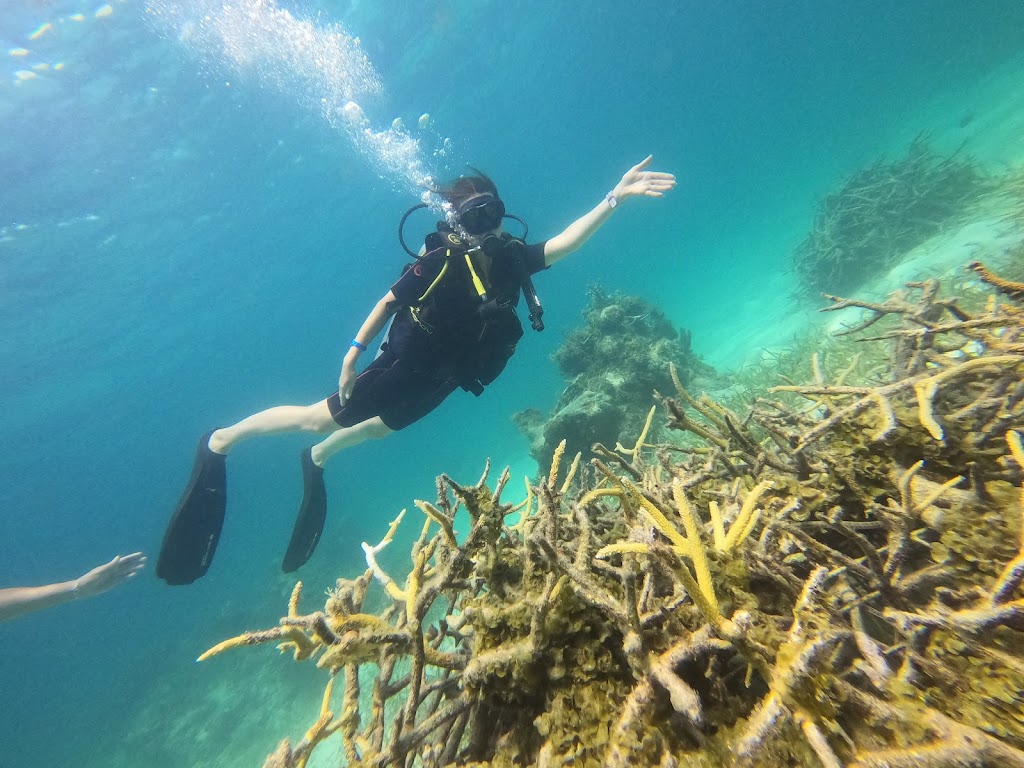 Klübdive