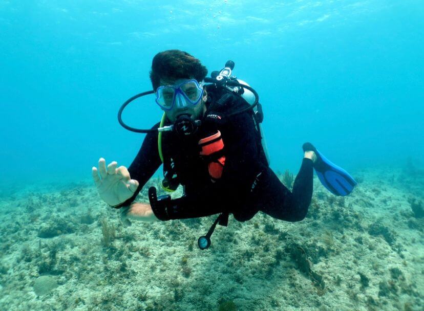 Scuba And Chill
