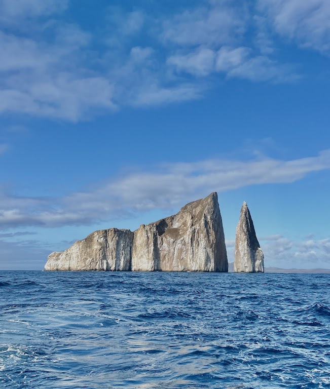 Blue Whale Dive Center