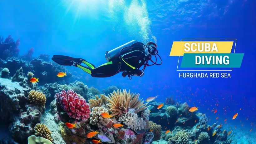 Aquarius Diving Club
