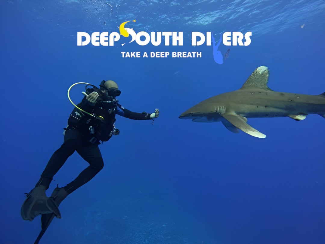 Blue Submarine Diving Centre