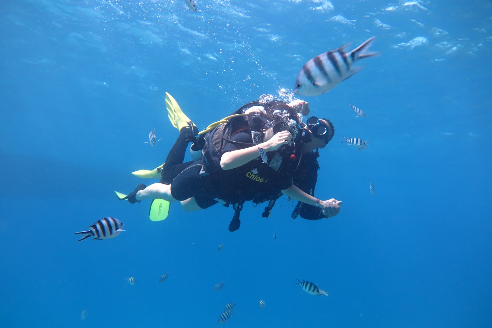 Chloe'S Diving Center