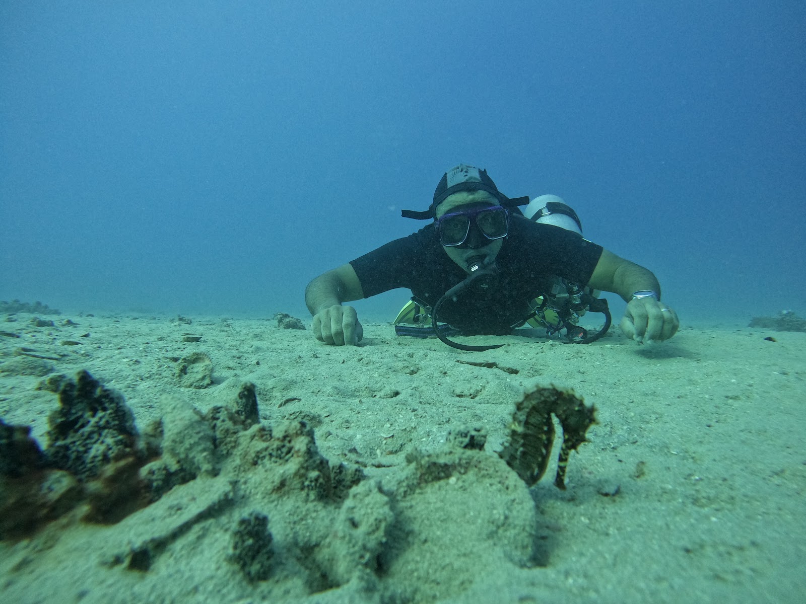 Dive Red Sea Makadi Bay