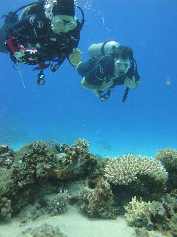 Fantasea Divers Dahab