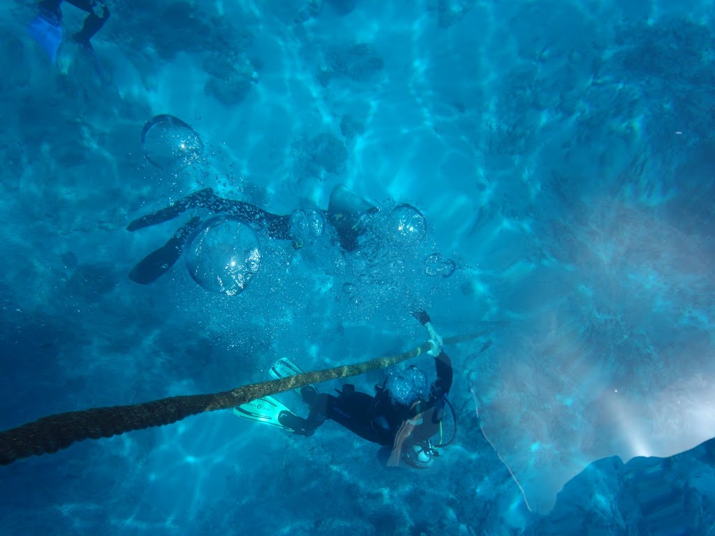 James & Mac Diving Center