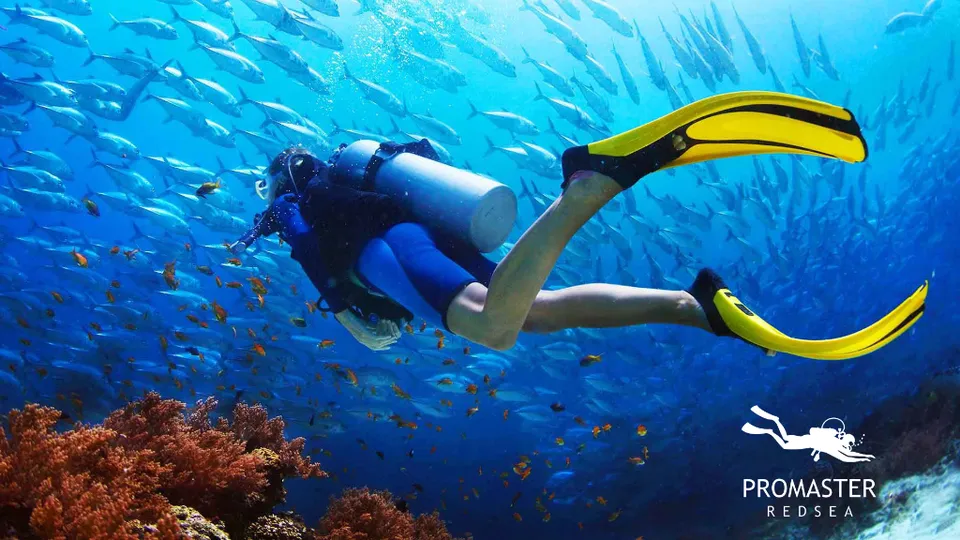 Pro Master Diving Center