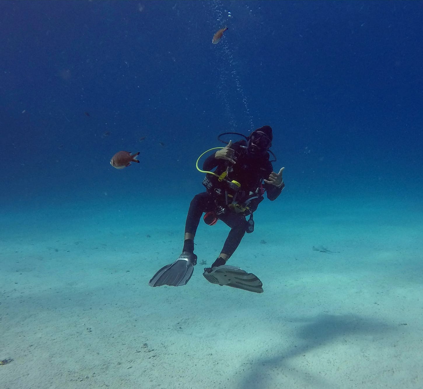 Red Sea Life Diving Center
