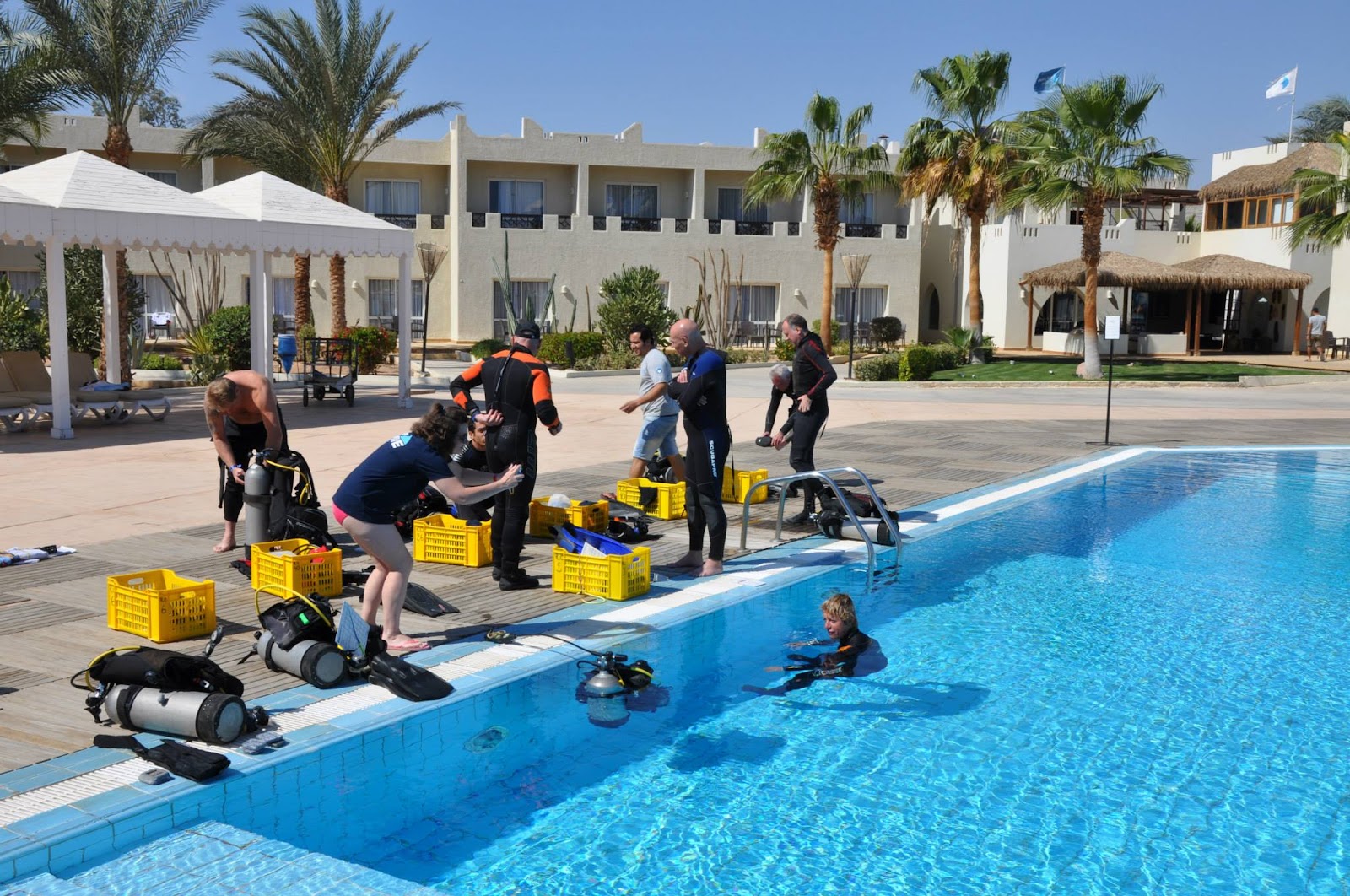 Reef Oasis Dive Club