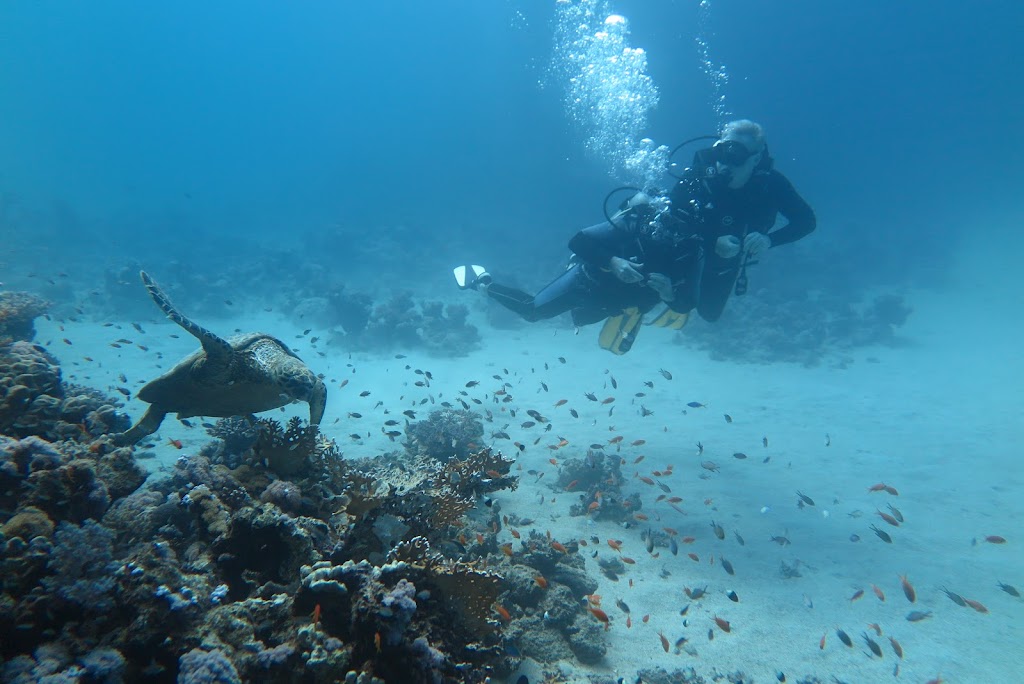 Scuba World Divers Marsa