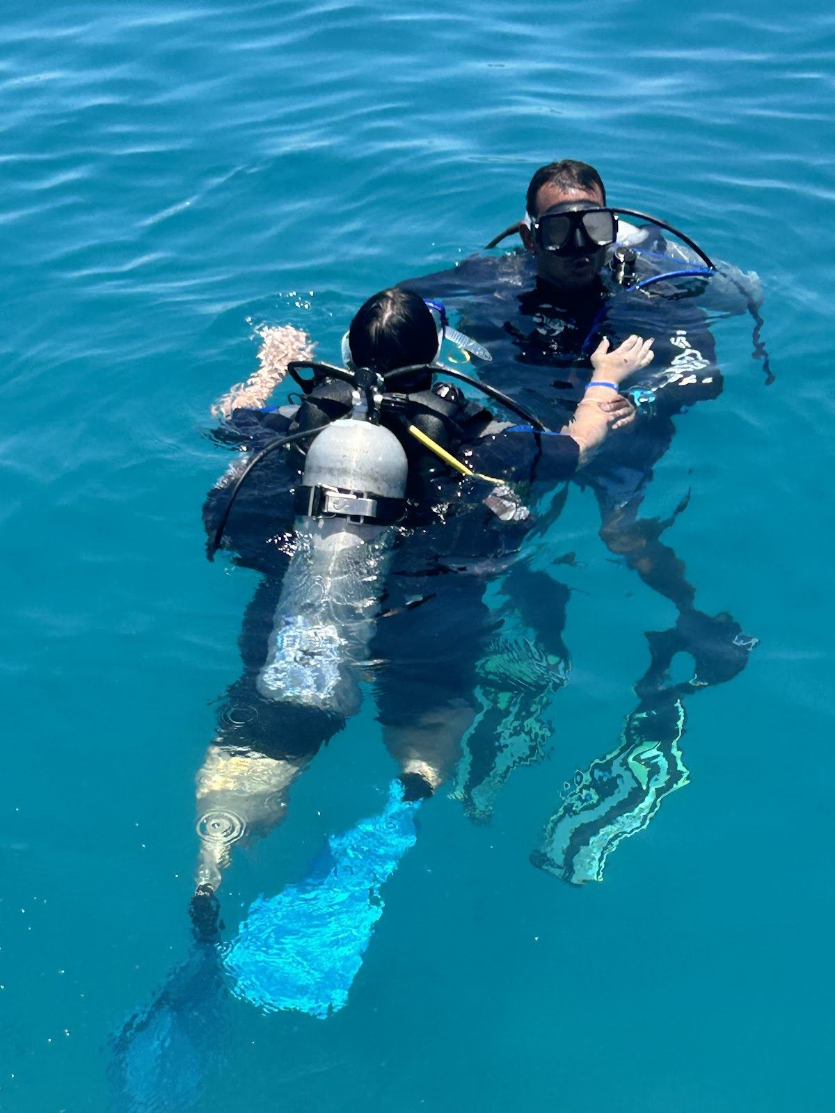 Sea College Dive Club