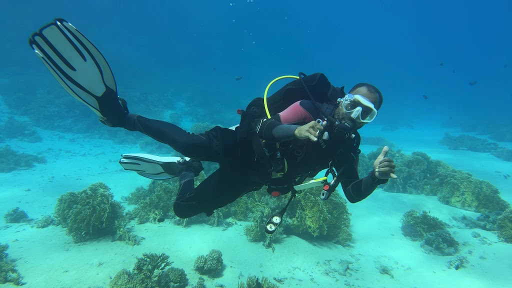 Story Divers