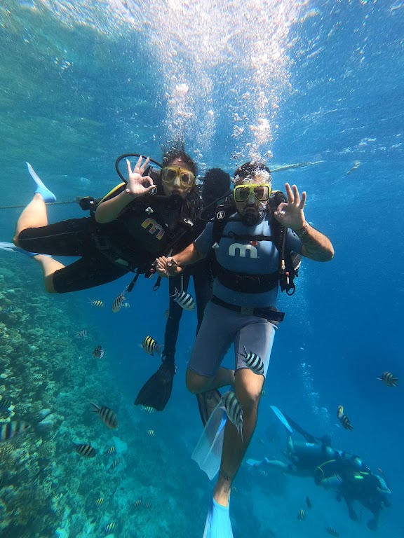 White Dolphin Diving Center