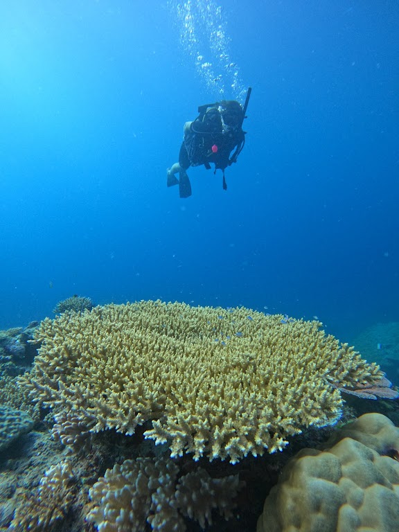 Coconut Beach Dive Center
