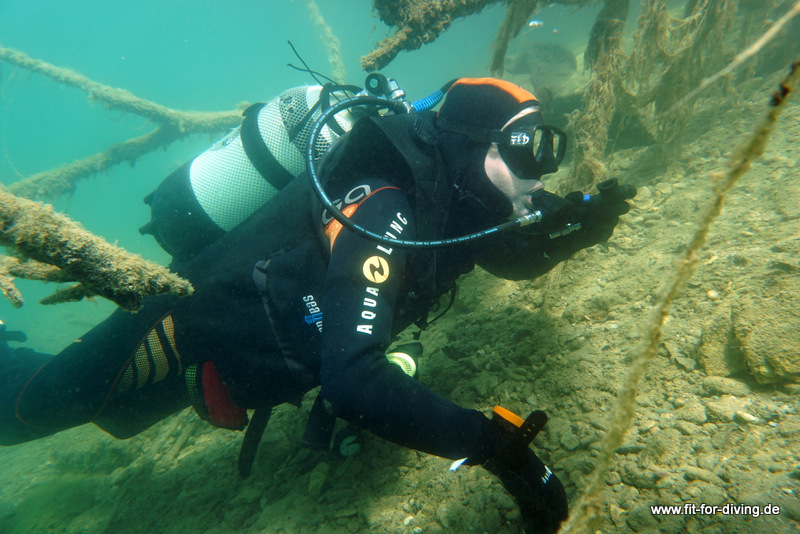Padi 5