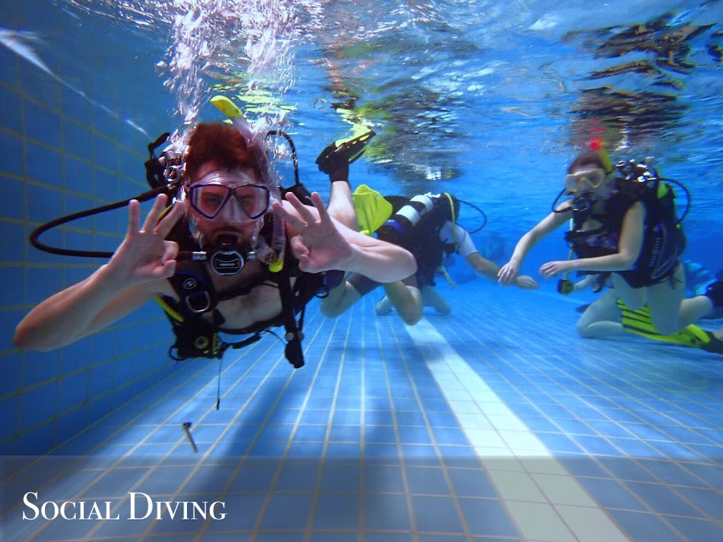 Social Diving