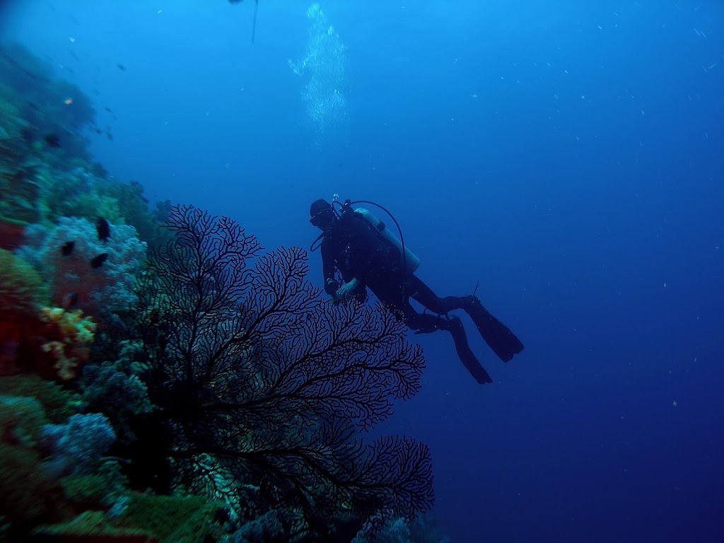Troisdorf Fun Divers